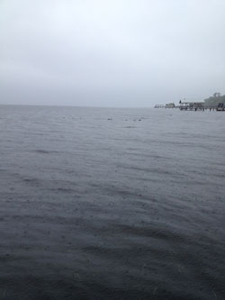 Rainy day on St. Johns River, FL